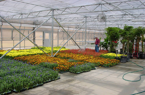 Agricultural greenhouse PC sunshine board case