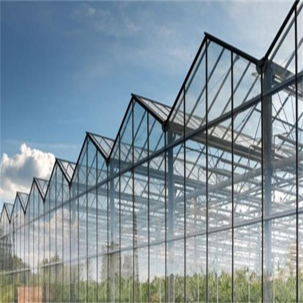 微信图片_20210120101600_看图王