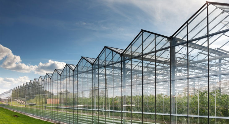 微信图片_20210120101600